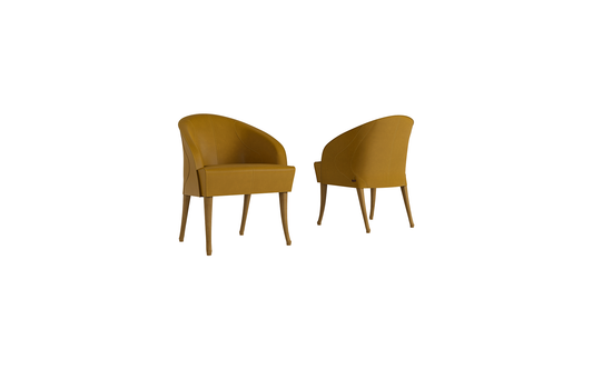 ELDRA Armchair